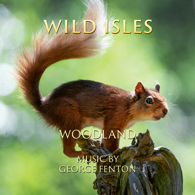 Wild Isles Woodland George Fenton